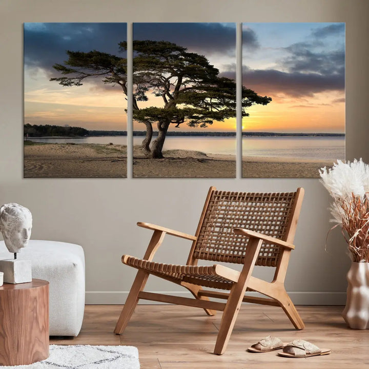 Big Tree Beach Coastal Sunset Wall Art Canvas Print Framed