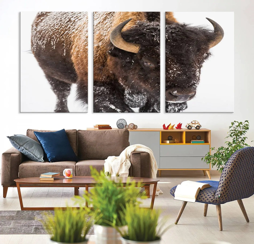 Bison Wall Art Canvas Print Winter