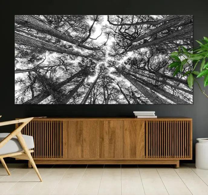 Bottom View of Tree Forest and Sky Contemporary Canvas Wall Art Giclee Print