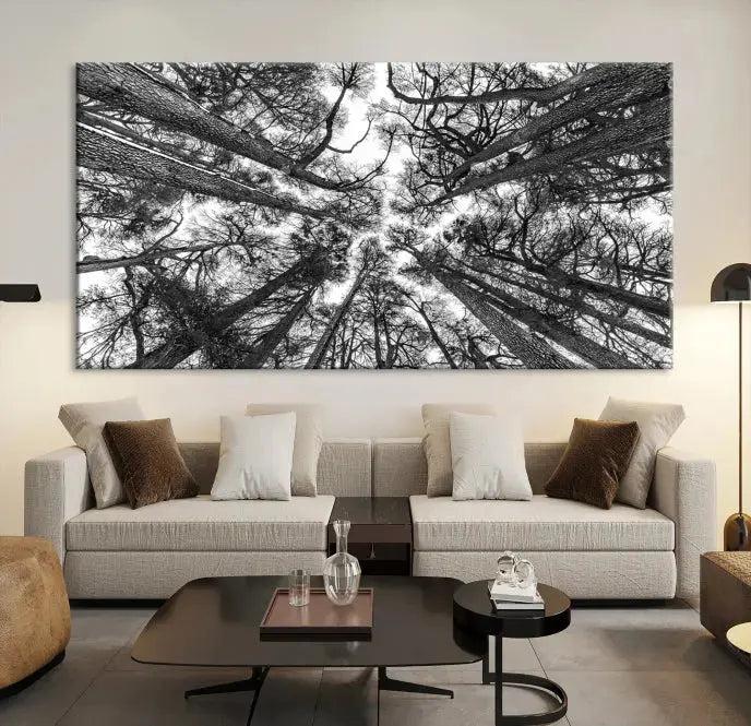 Bottom View of Tree Forest and Sky Contemporary Canvas Wall Art Giclee Print