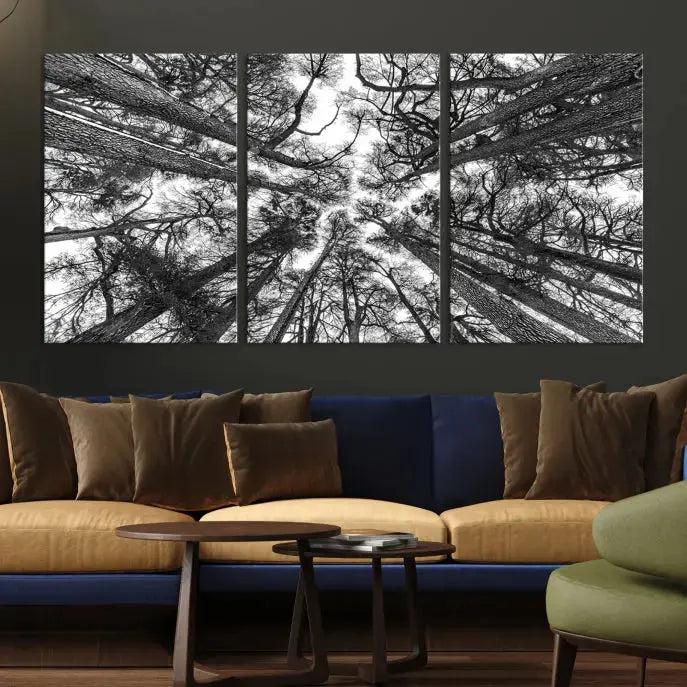 Bottom View of Tree Forest and Sky Contemporary Canvas Wall Art Giclee Print