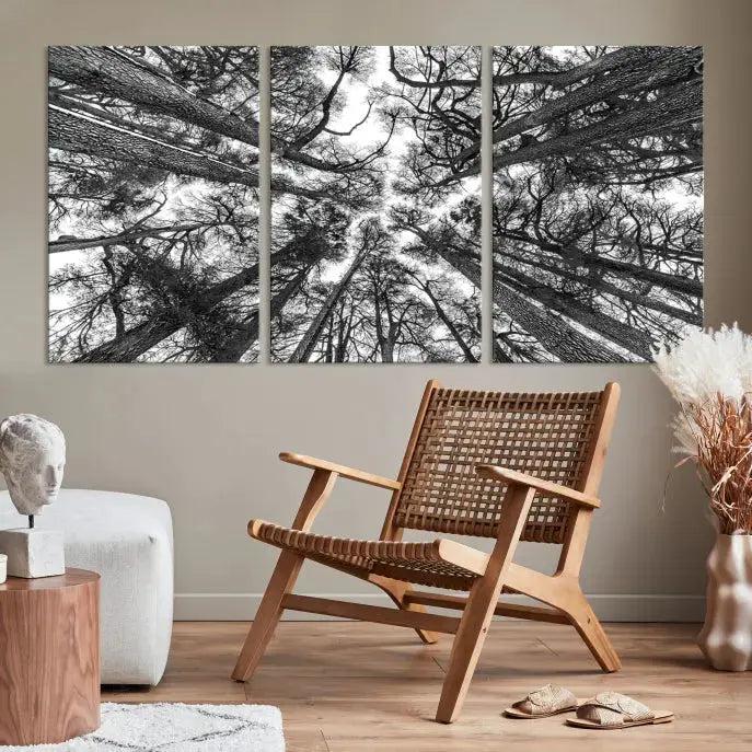 Bottom View of Tree Forest and Sky Contemporary Canvas Wall Art Giclee Print