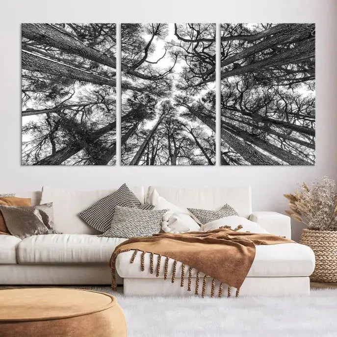 Bottom View of Tree Forest and Sky Contemporary Canvas Wall Art Giclee Print