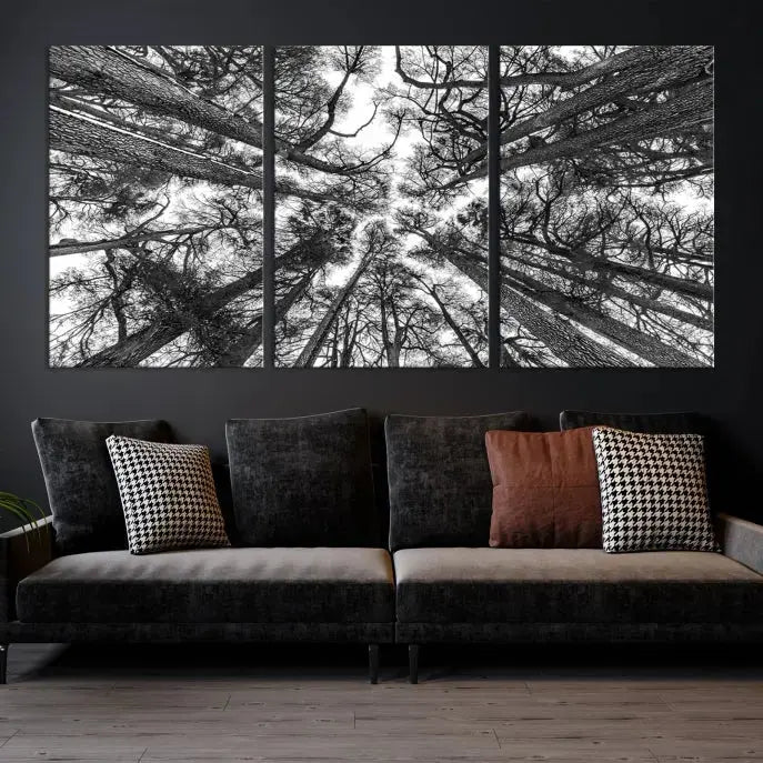 Bottom View of Tree Forest and Sky Contemporary Canvas Wall Art Giclee Print