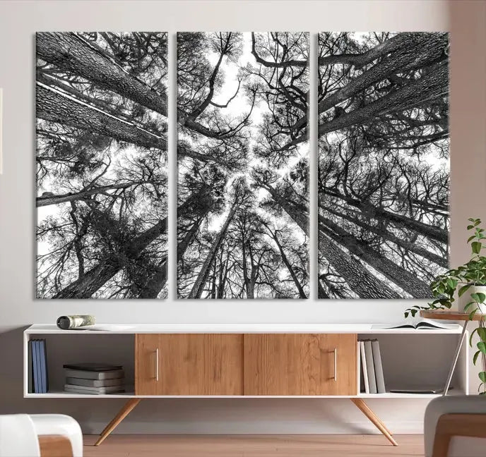 Bottom View of Tree Forest and Sky Contemporary Canvas Wall Art Giclee Print