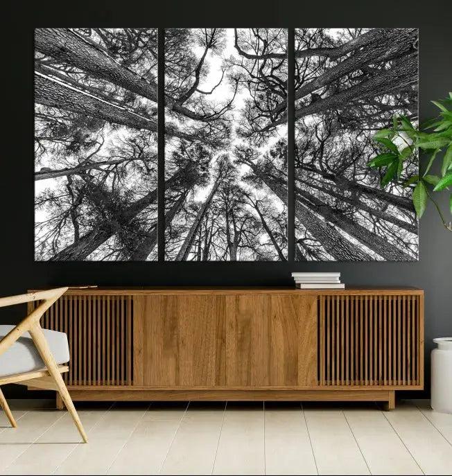 Bottom View of Tree Forest and Sky Contemporary Canvas Wall Art Giclee Print