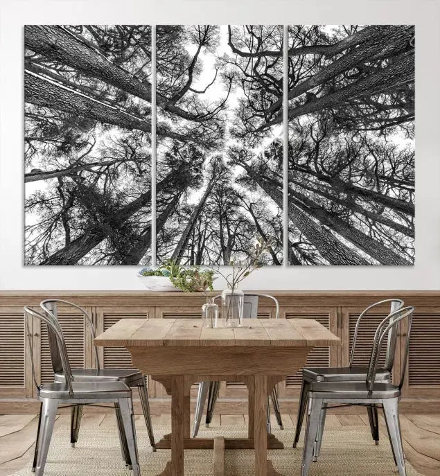 Bottom View of Tree Forest and Sky Contemporary Canvas Wall Art Giclee Print