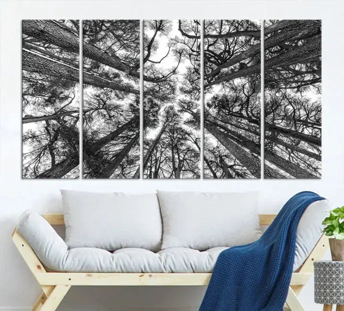 Bottom View of Tree Forest and Sky Contemporary Canvas Wall Art Giclee Print