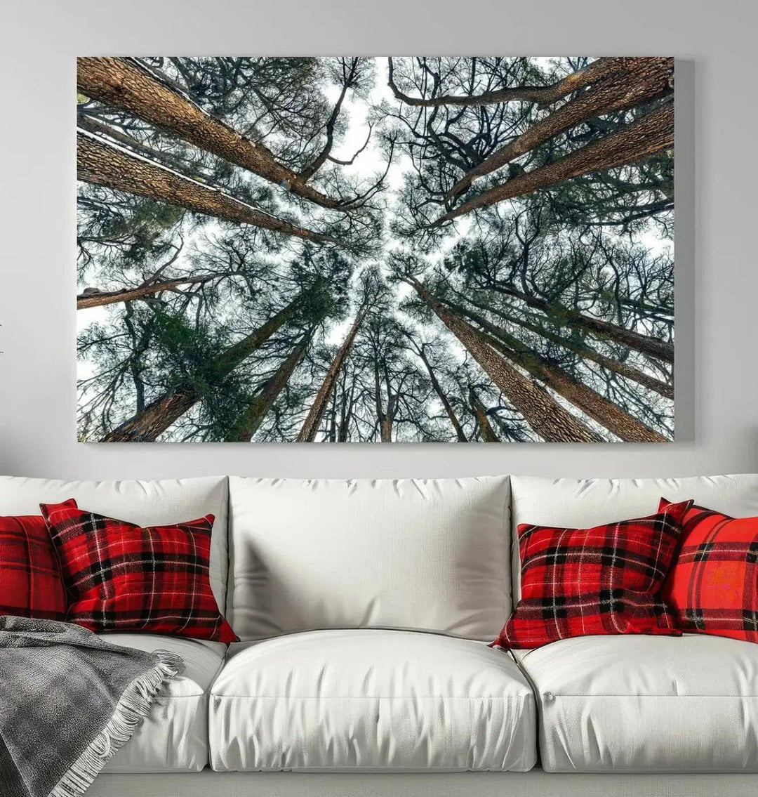 Bottom View of Trees Forest Landscape Large Wall Art Canvas Print