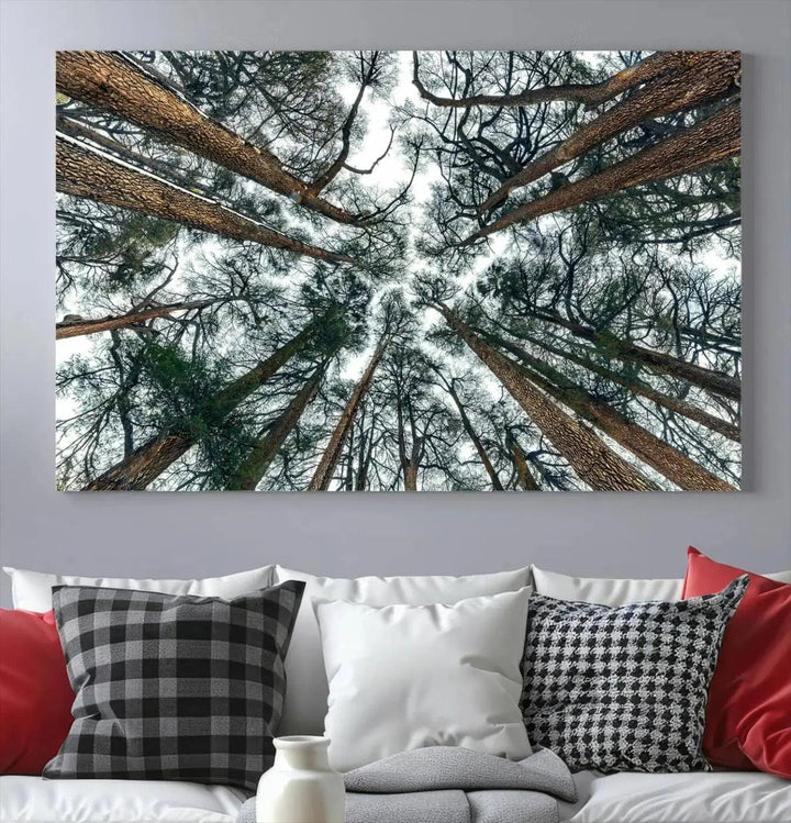 Bottom View of Trees Forest Landscape Large Wall Art Canvas Print