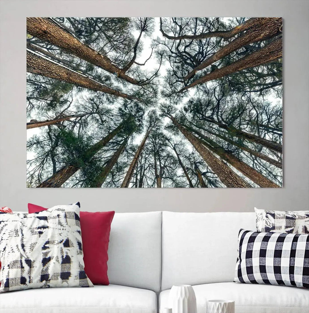 Bottom View of Trees Forest Landscape Large Wall Art Canvas Print