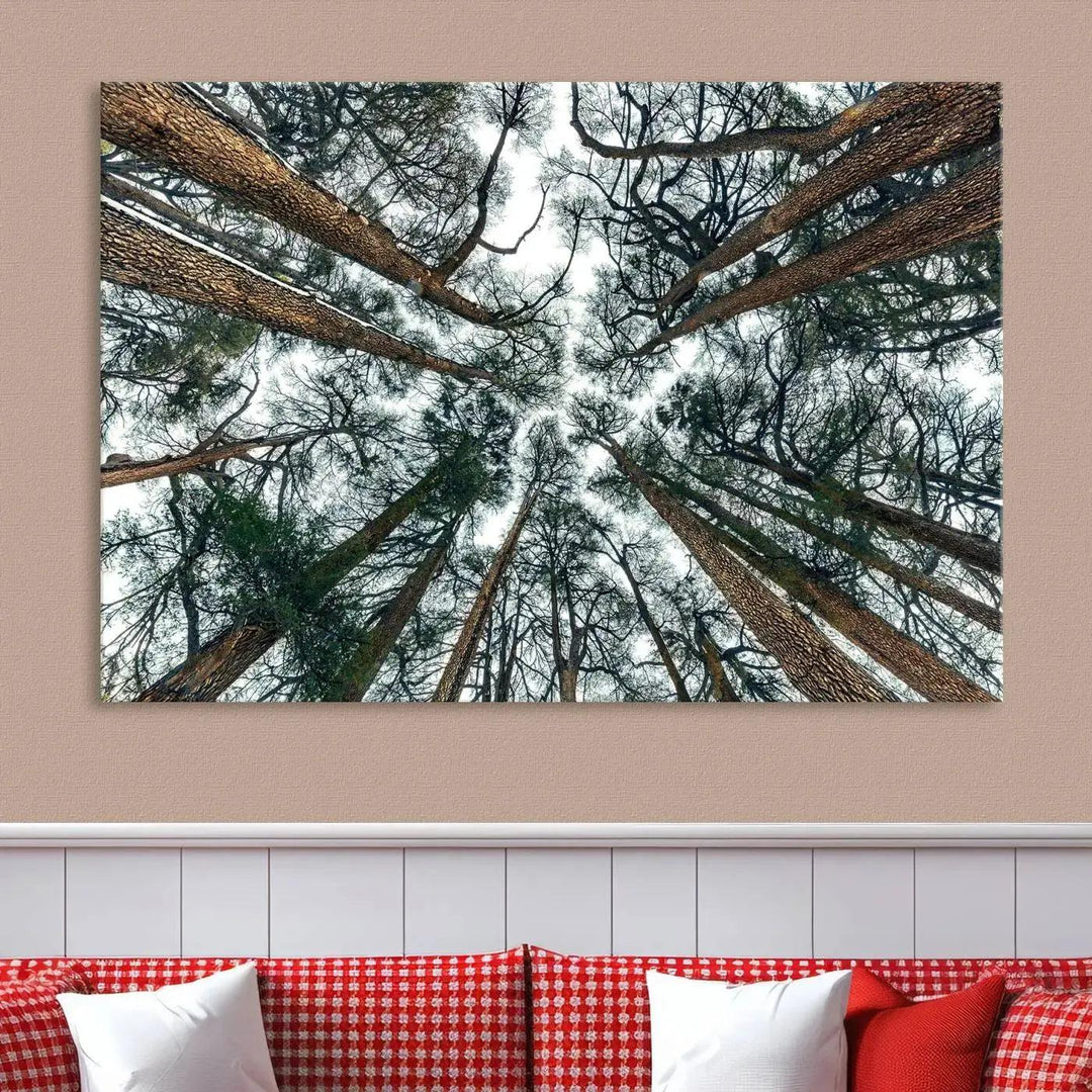 Bottom View of Trees Forest Landscape Large Wall Art Canvas Print