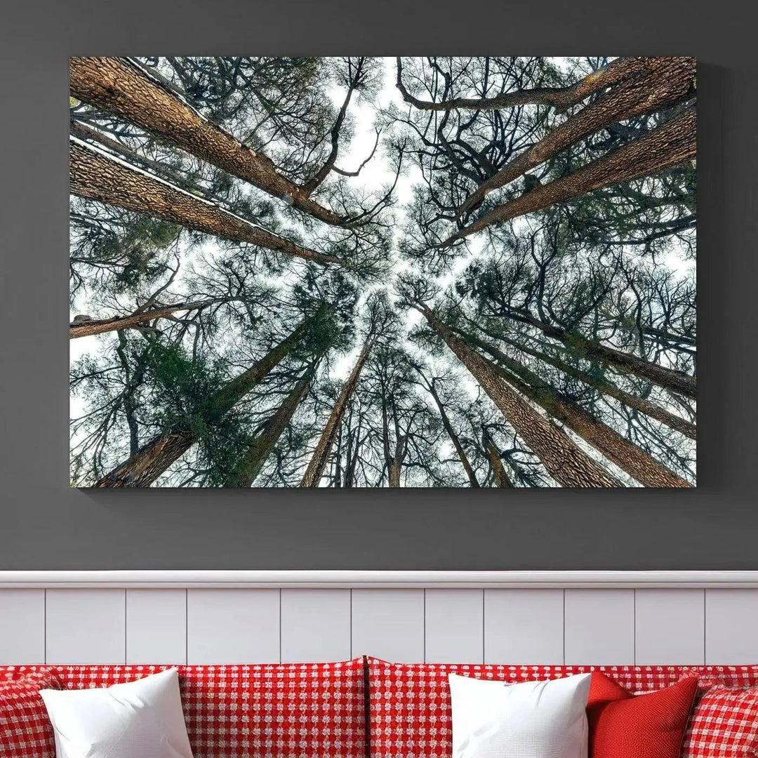 Bottom View of Trees Forest Landscape Large Wall Art Canvas Print