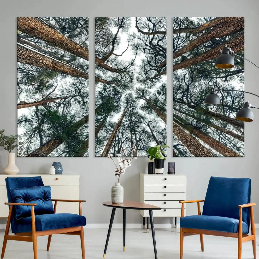 Bottom View of Trees Forest Landscape Large Wall Art Canvas Print