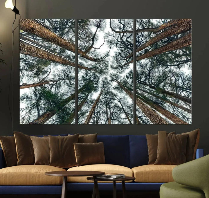 Bottom View of Trees Forest Landscape Large Wall Art Canvas Print