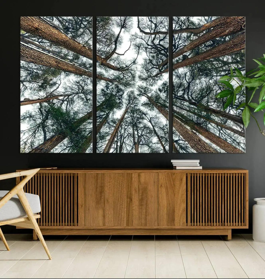 Bottom View of Trees Forest Landscape Large Wall Art Canvas Print