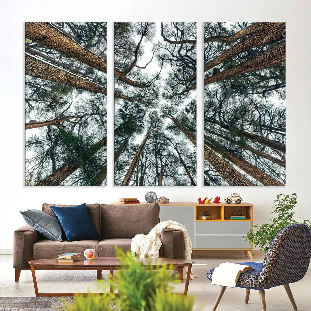 Bottom View of Trees Forest Landscape Large Wall Art Canvas Print