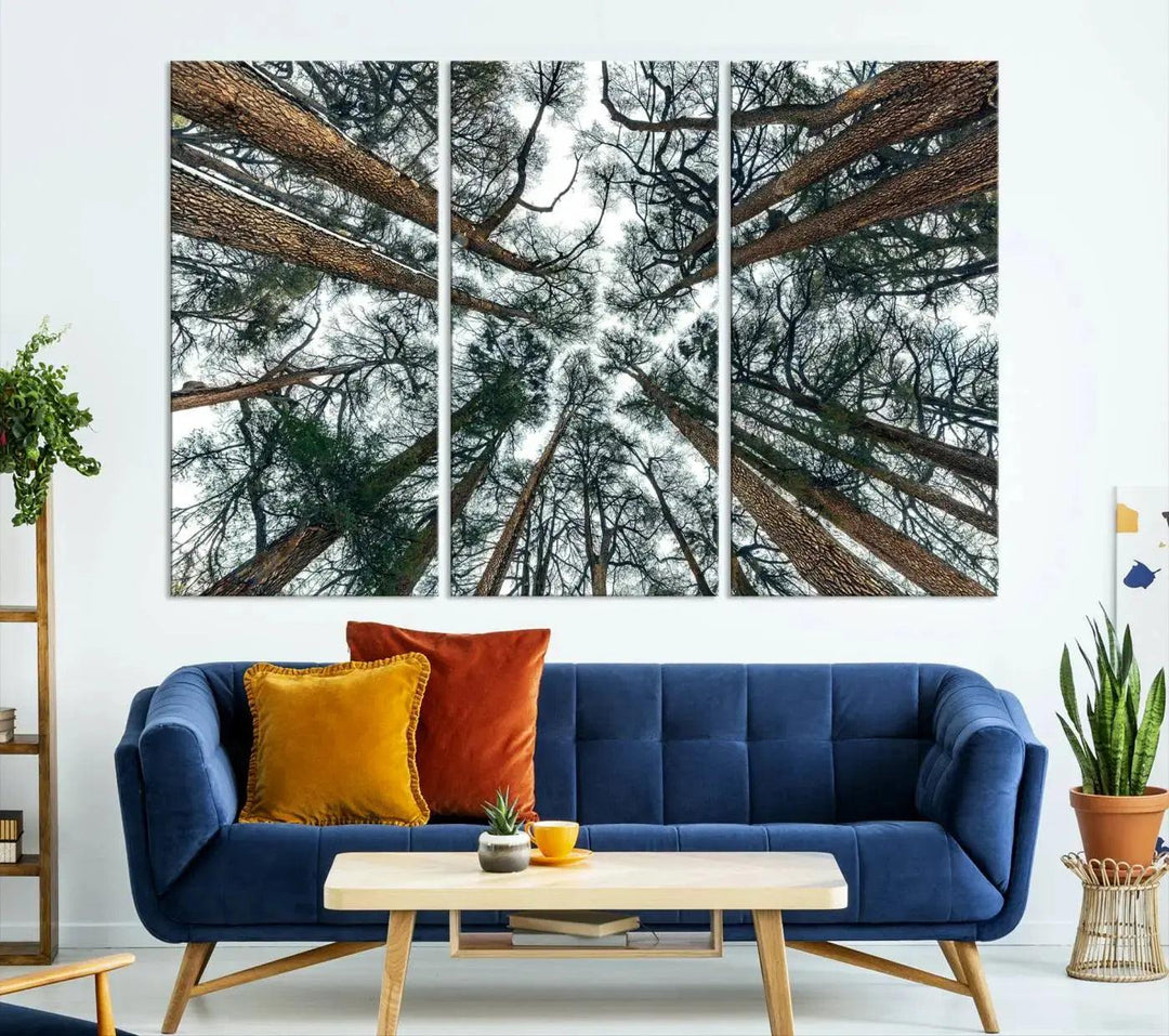 Bottom View of Trees Forest Landscape Large Wall Art Canvas Print