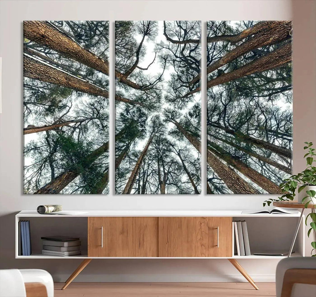 Bottom View of Trees Forest Landscape Large Wall Art Canvas Print