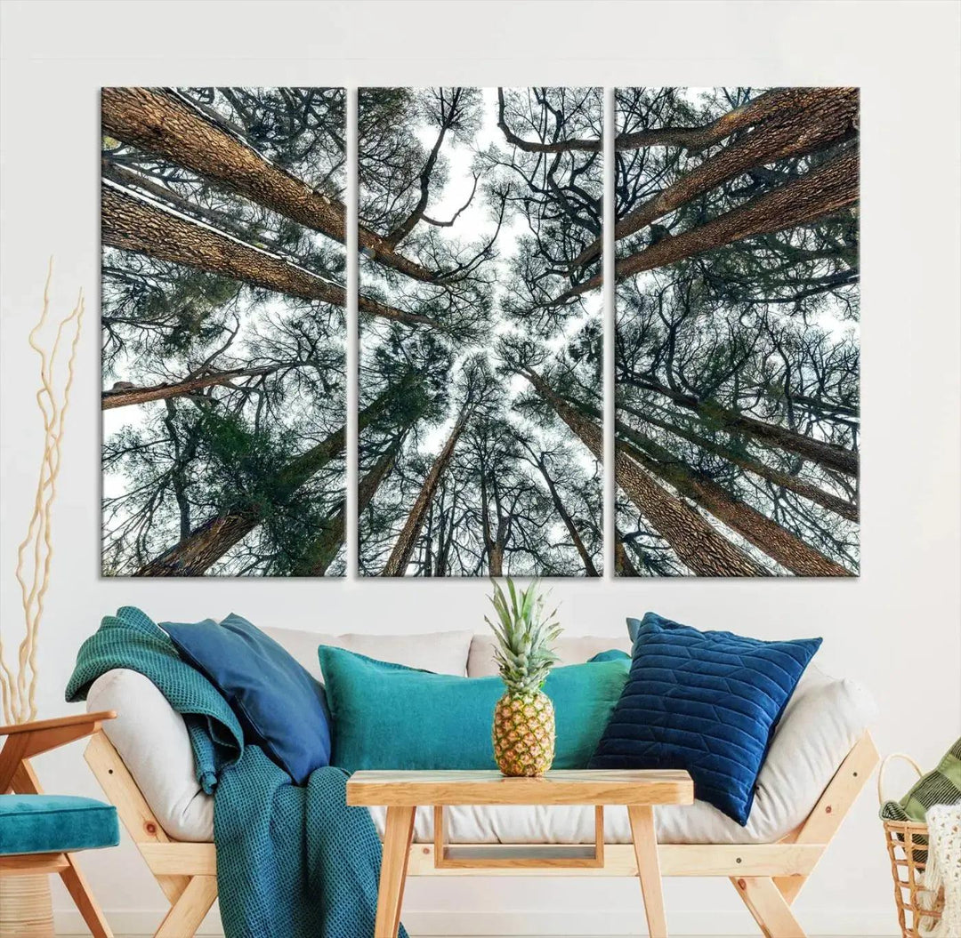 Bottom View of Trees Forest Landscape Large Wall Art Canvas Print