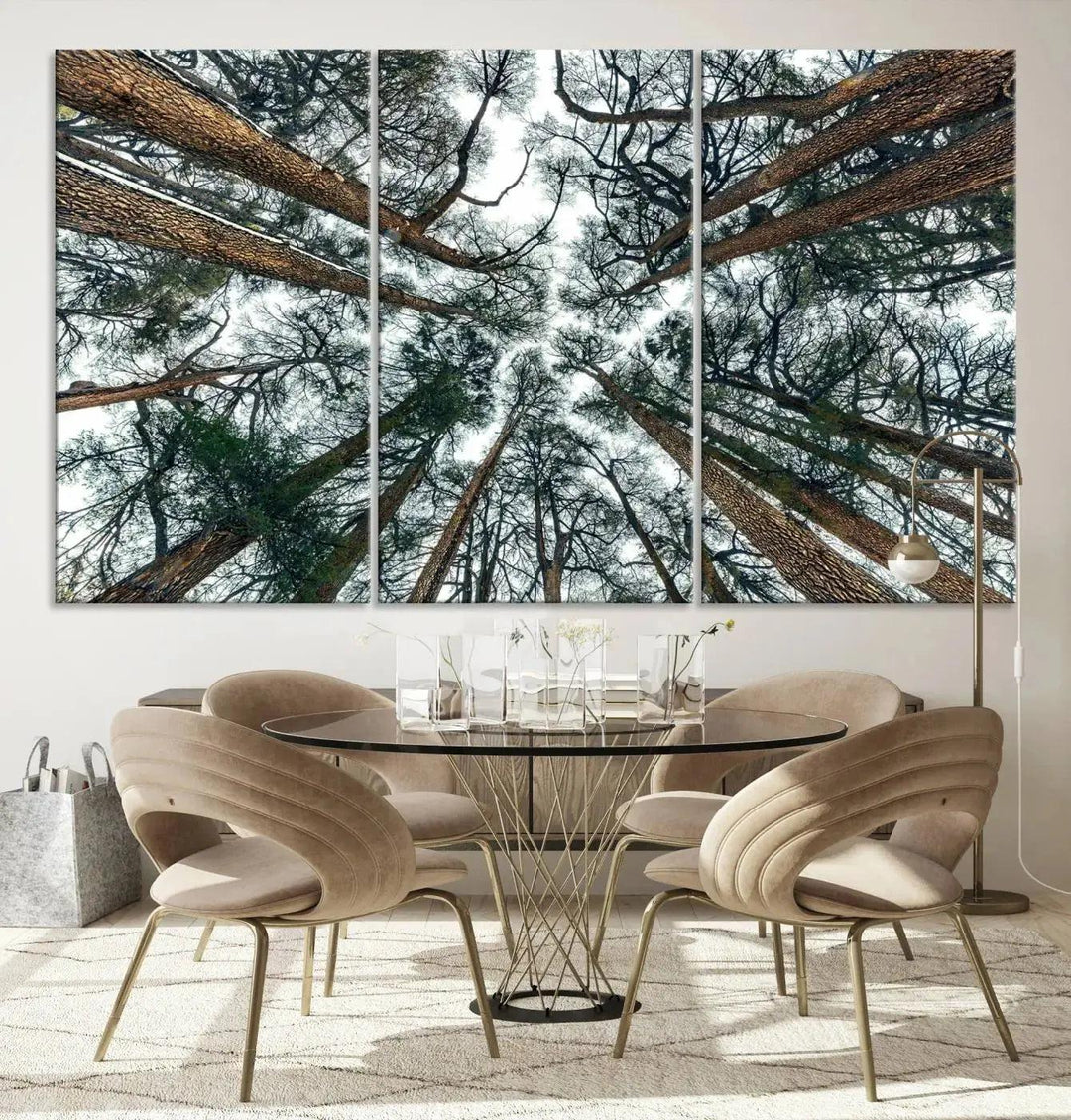 Bottom View of Trees Forest Landscape Large Wall Art Canvas Print