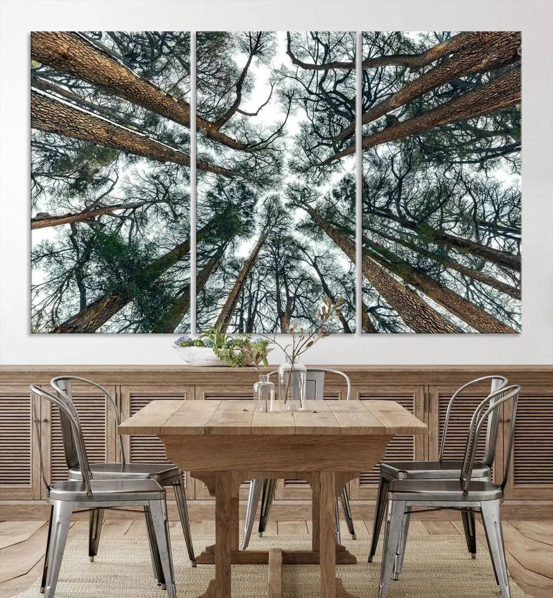 Bottom View of Trees Forest Landscape Large Wall Art Canvas Print