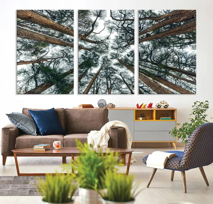 Bottom View of Trees Forest Landscape Large Wall Art Canvas Print