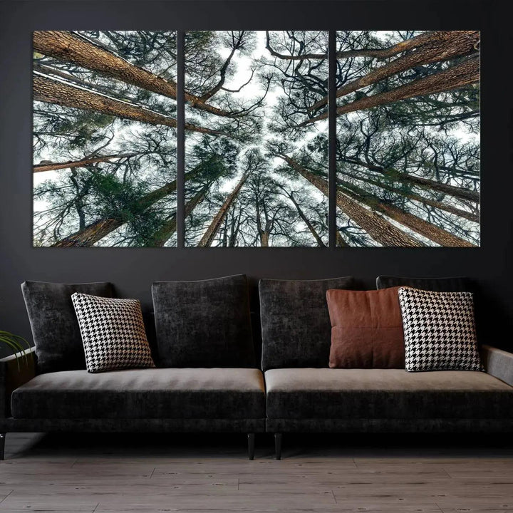 Bottom View of Trees Forest Landscape Large Wall Art Canvas Print