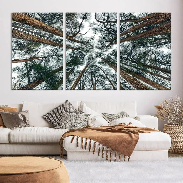 Bottom View of Trees Forest Landscape Large Wall Art Canvas Print