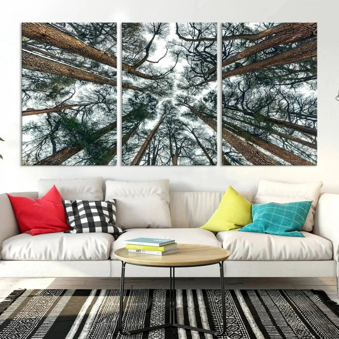 Bottom View of Trees Forest Landscape Large Wall Art Canvas Print