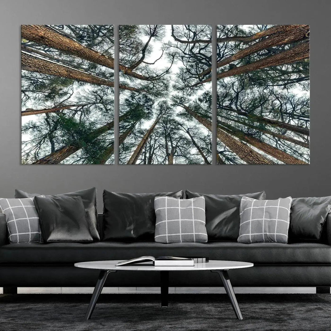 Bottom View of Trees Forest Landscape Large Wall Art Canvas Print