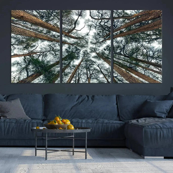 Bottom View of Trees Forest Landscape Large Wall Art Canvas Print