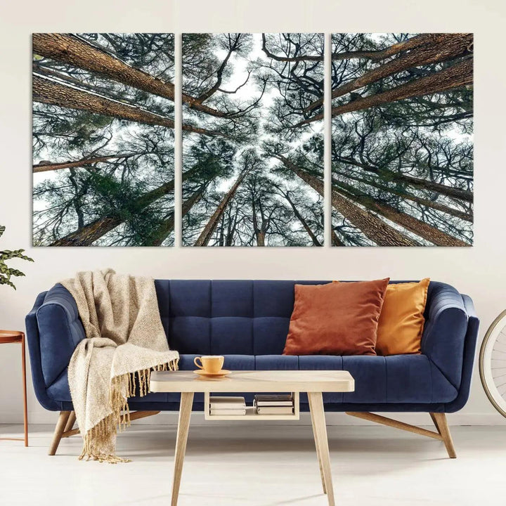 Bottom View of Trees Forest Landscape Large Wall Art Canvas Print