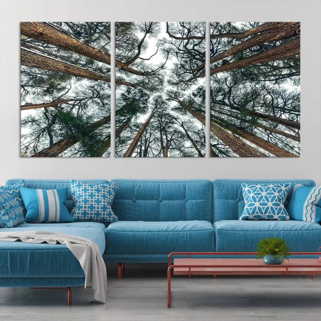 Bottom View of Trees Forest Landscape Large Wall Art Canvas Print