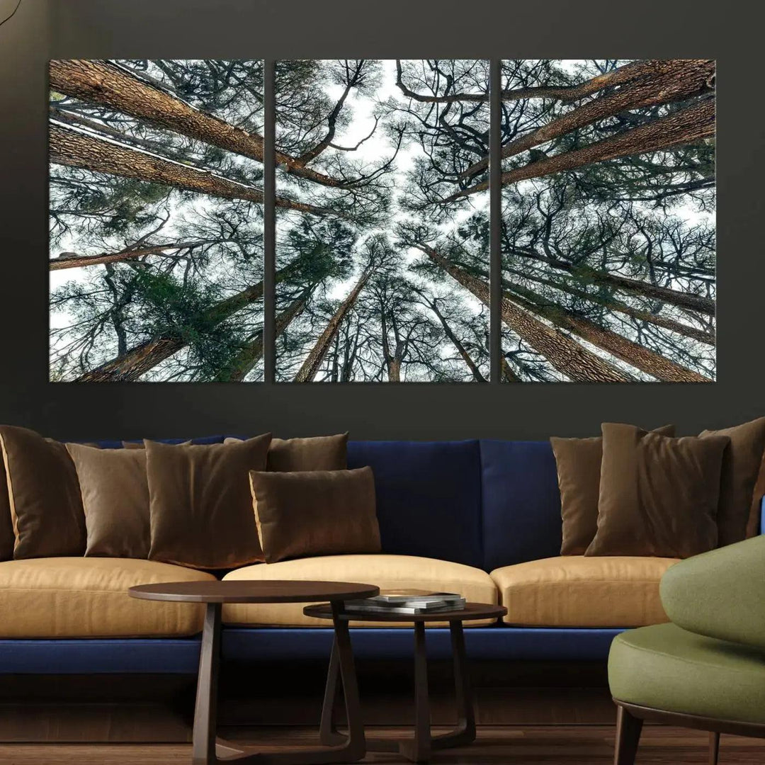 Bottom View of Trees Forest Landscape Large Wall Art Canvas Print