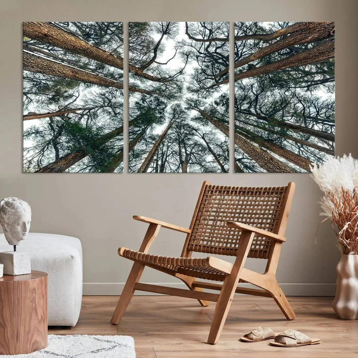 Bottom View of Trees Forest Landscape Large Wall Art Canvas Print