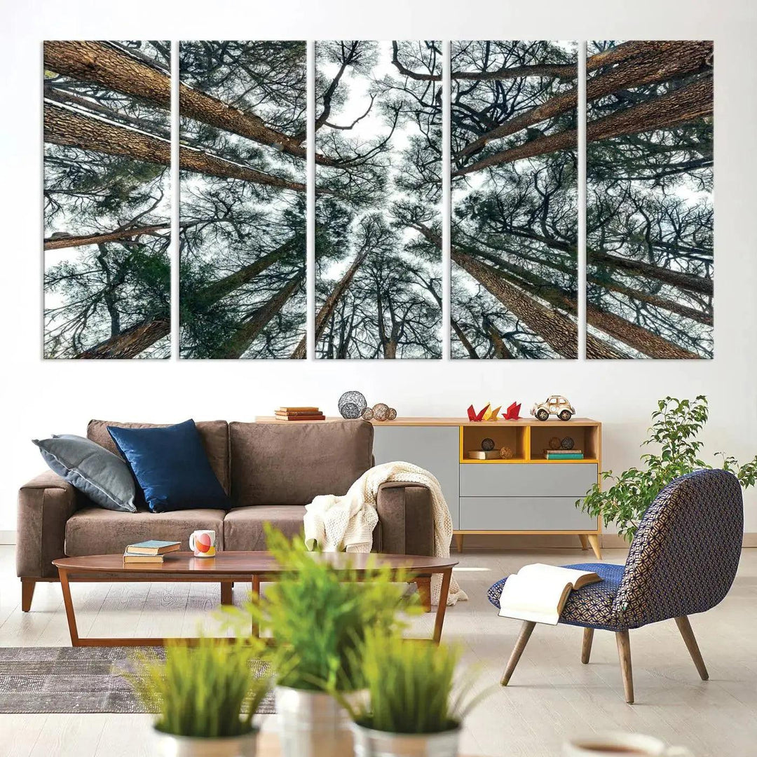 Bottom View of Trees Forest Landscape Large Wall Art Canvas Print