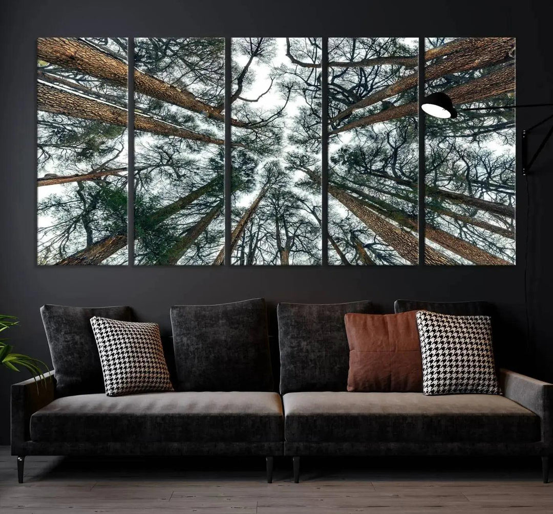 Bottom View of Trees Forest Landscape Large Wall Art Canvas Print