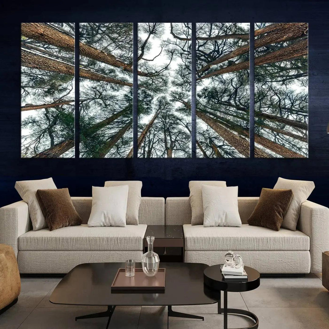 Bottom View of Trees Forest Landscape Large Wall Art Canvas Print