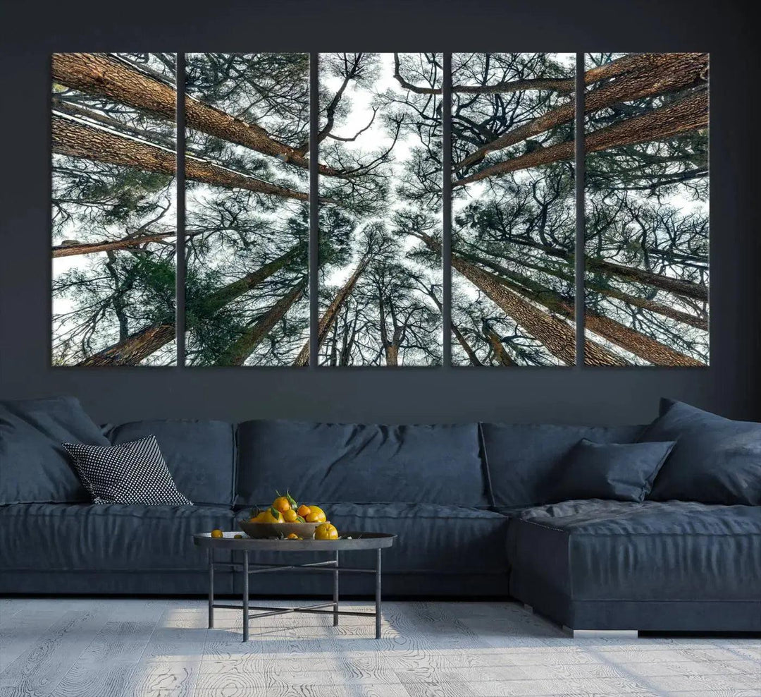 Bottom View of Trees Forest Landscape Large Wall Art Canvas Print