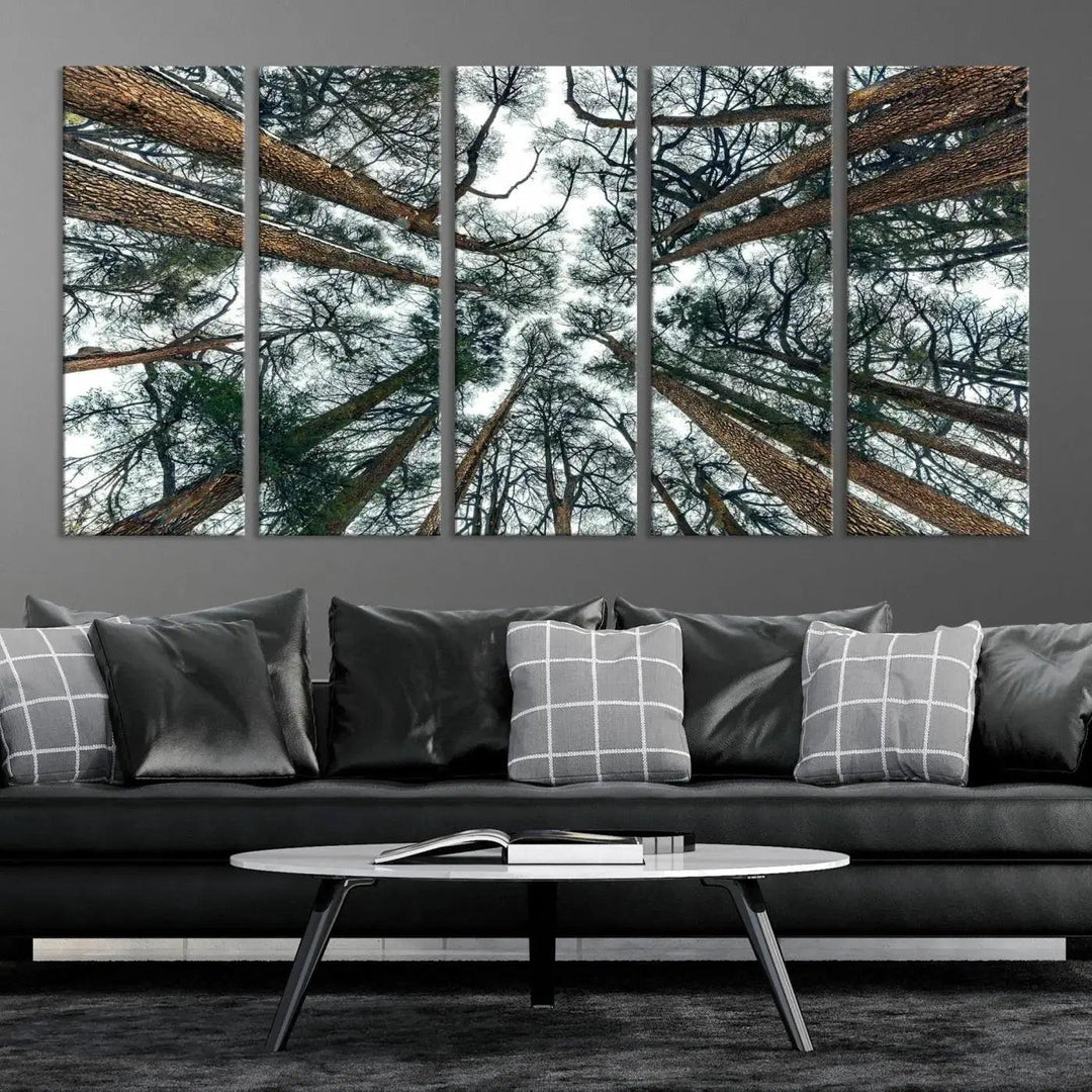 Bottom View of Trees Forest Landscape Large Wall Art Canvas Print