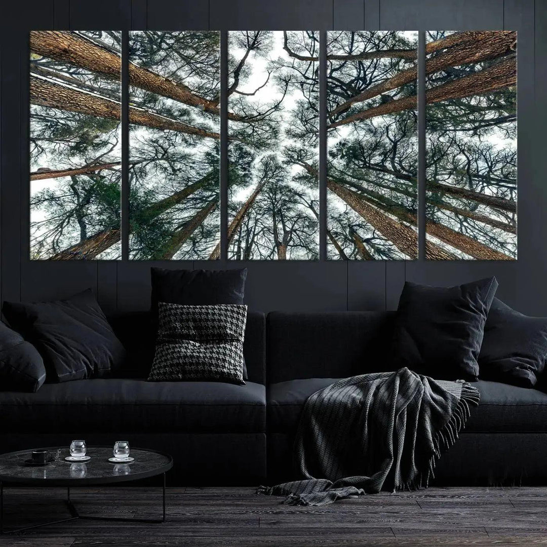 Bottom View of Trees Forest Landscape Large Wall Art Canvas Print