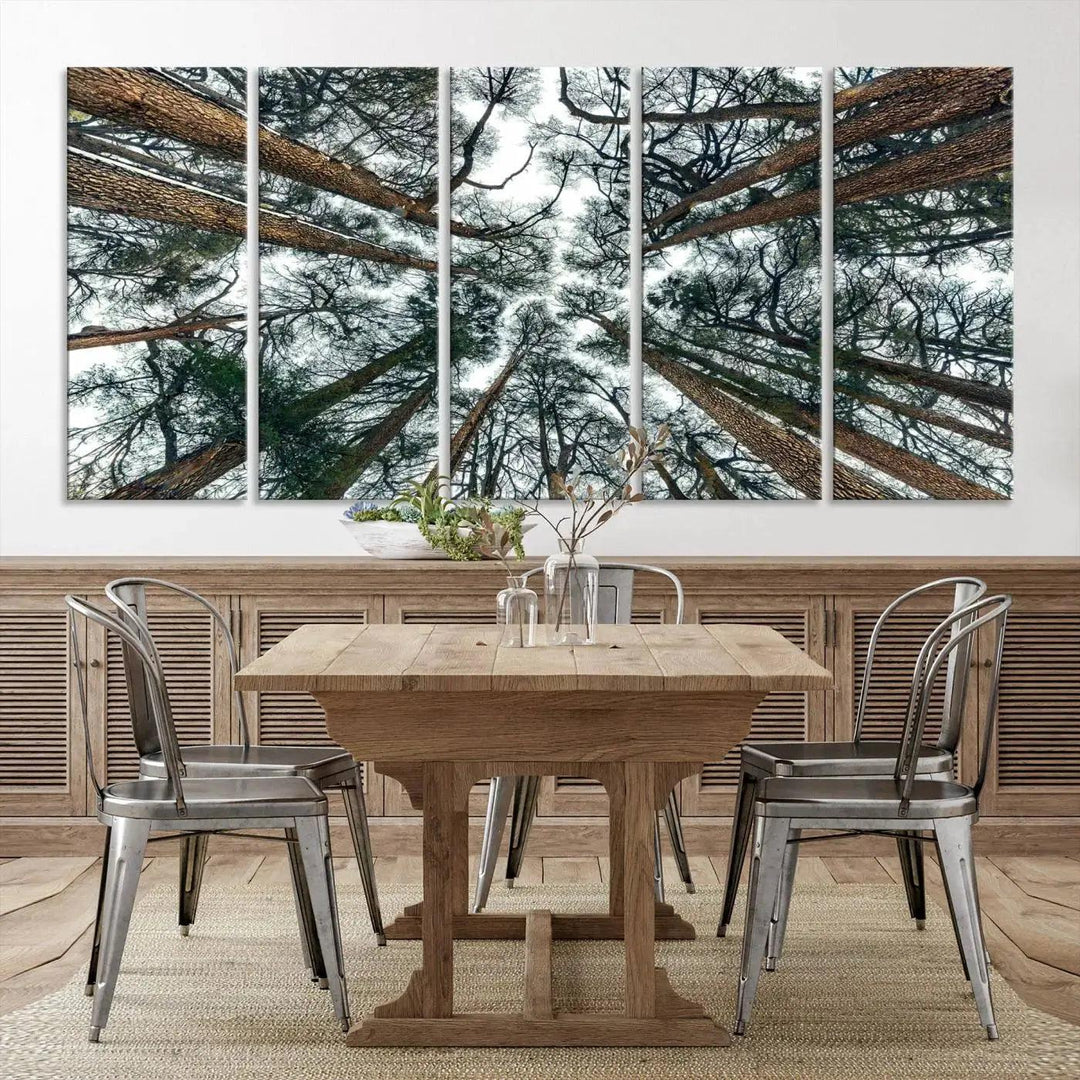 Bottom View of Trees Forest Landscape Large Wall Art Canvas Print