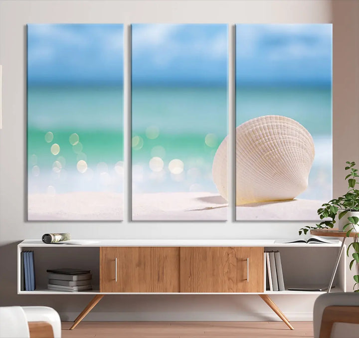 Close-up Seashell on Beach Ocean Canvas Wall Art Print