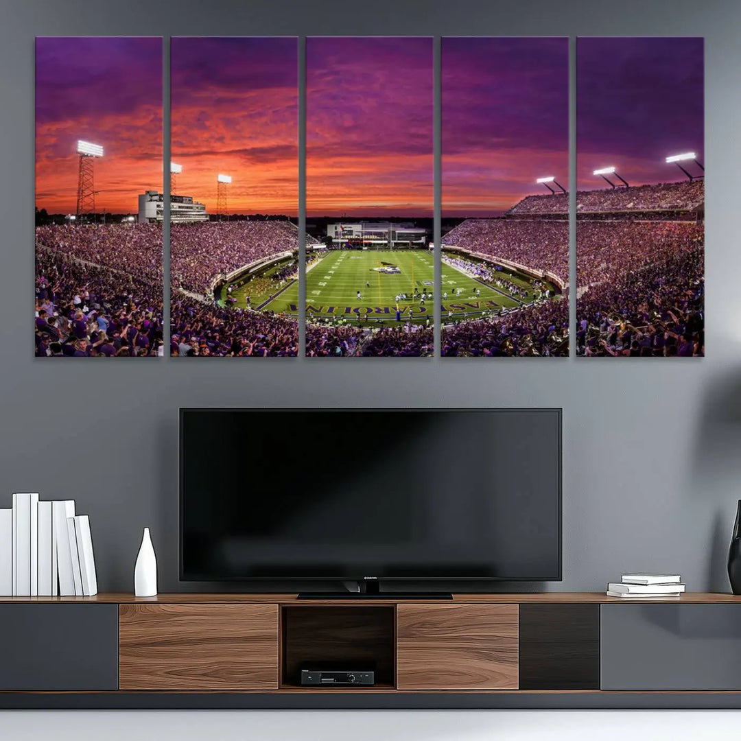 East Carolina University Pirates Football Team Print - Greenville Dowdy-Ficklen Stadium Wall Art Canvas Print