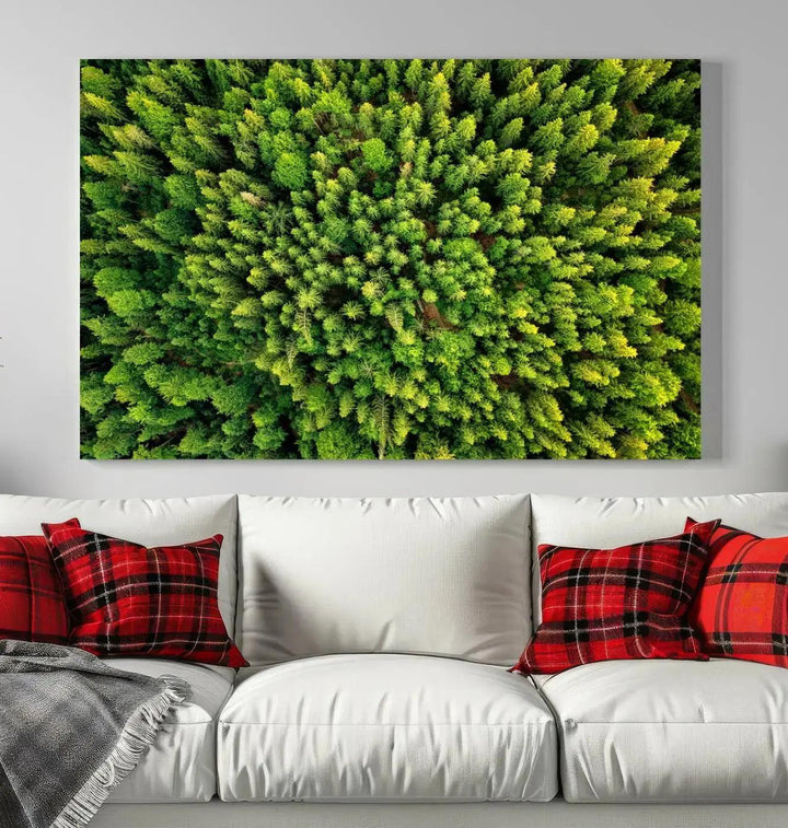 Extra Large Aerial Green Forest Printed on Canvas Framed Wall Art