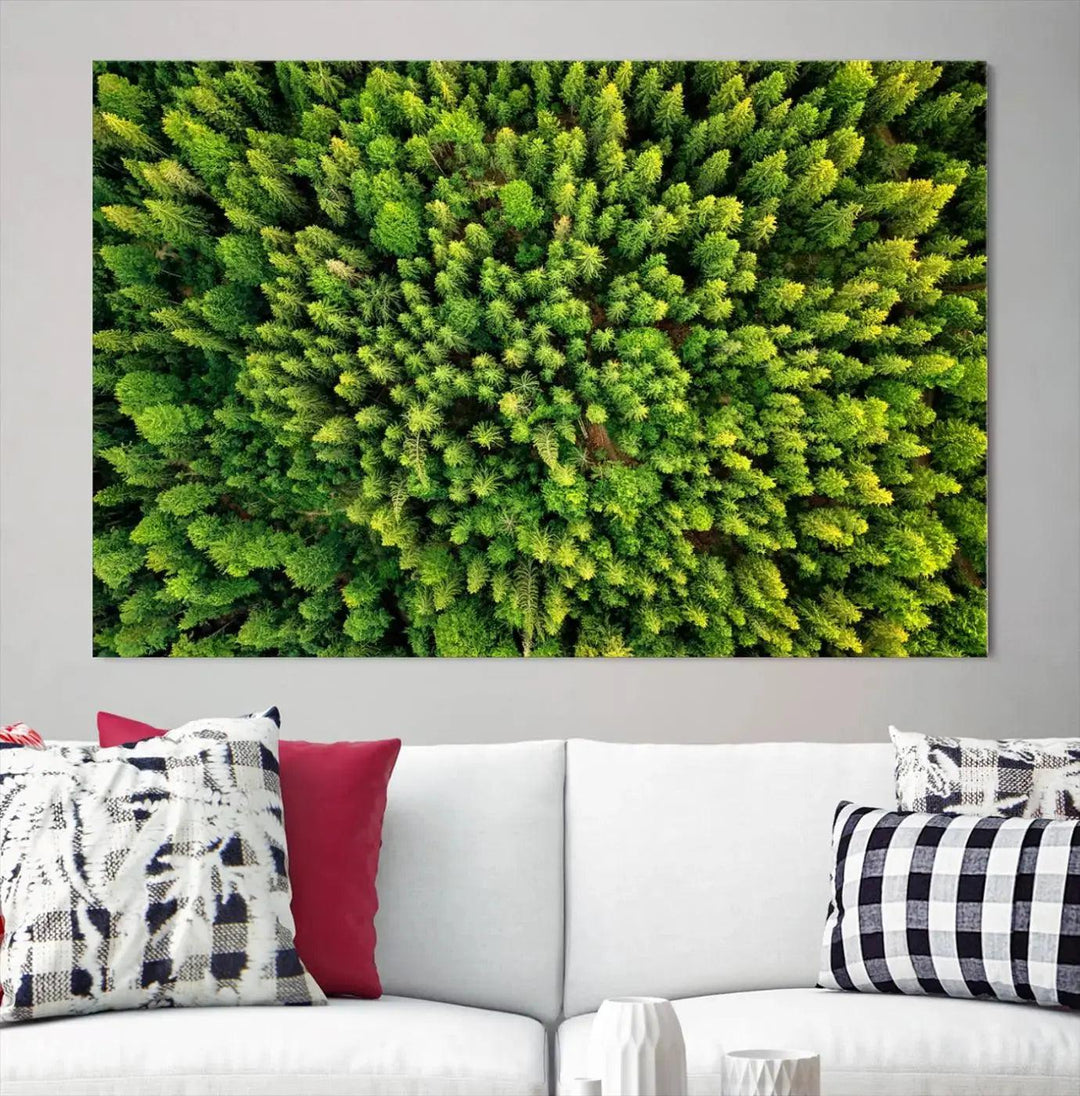 Extra Large Aerial Green Forest Printed on Canvas Framed Wall Art