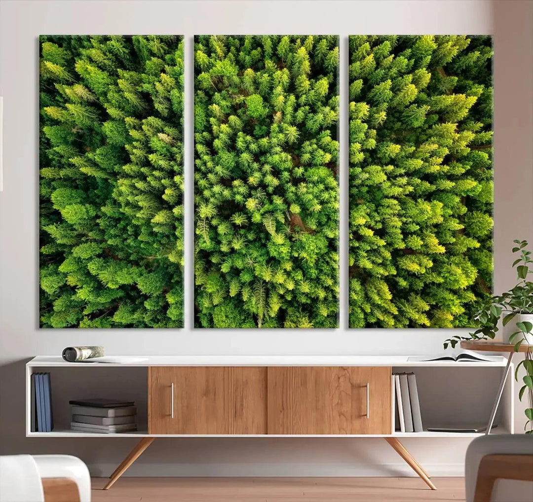 Extra Large Aerial Green Forest Printed on Canvas Framed Wall Art