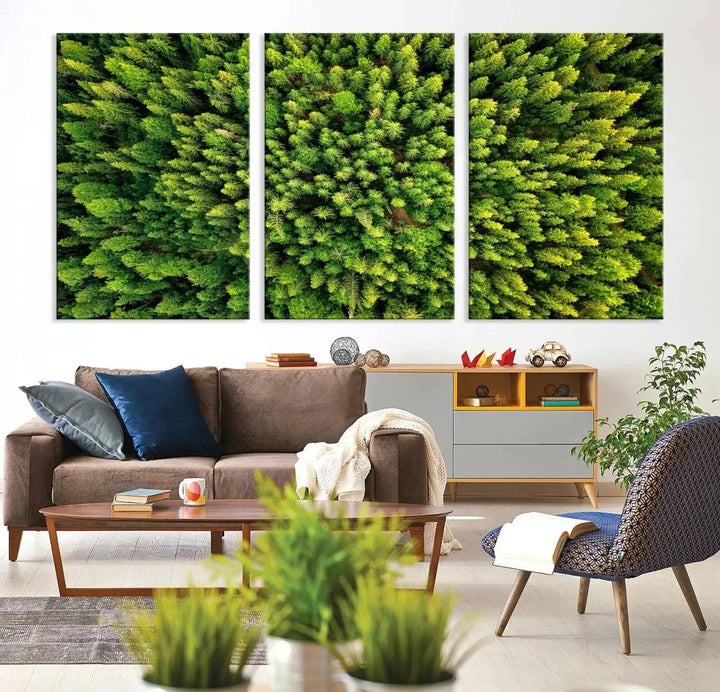 Extra Large Aerial Green Forest Printed on Canvas Framed Wall Art