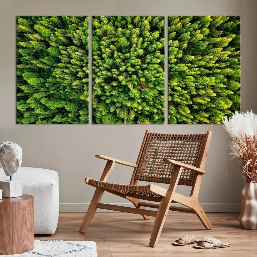 Extra Large Aerial Green Forest Printed on Canvas Framed Wall Art